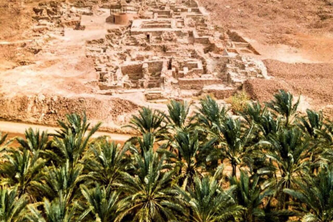 AlUla: Ancient Wonders &amp; City Tour with Lunch