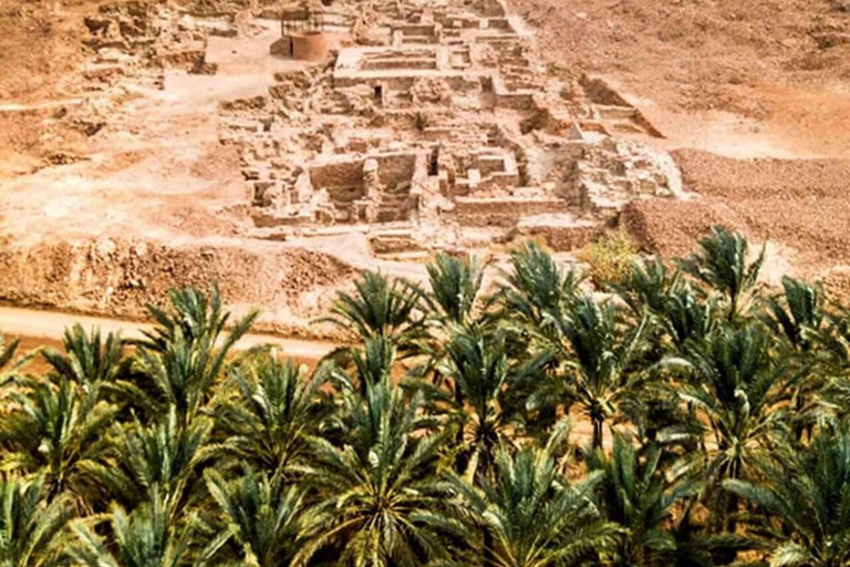 AlUla: Ancient Wonders &amp; City Tour with Lunch