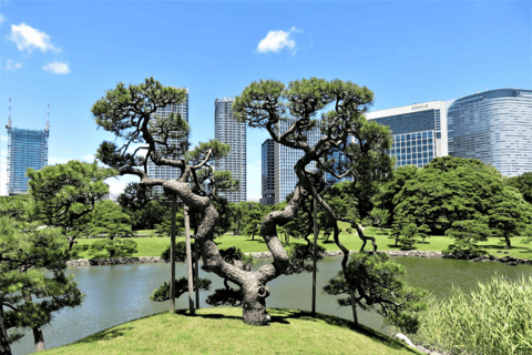 Tokyo–Haneda: Garden, Samurai & Torii Private Tour Tokyo hotel → Haneda Airport