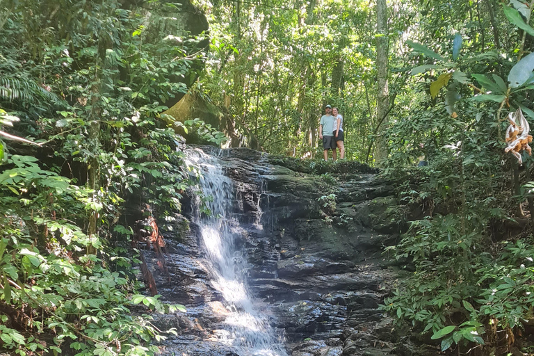 Tijuca Rain Forest - Adventure through Waterfalls & Caves Tijuca Rain Forest - Adventure through Waterfalls & Caves 2