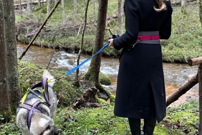 Riga : Randonnée avec des huskys sur le sentier de la nature