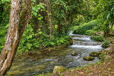 Chiangmai S : Guided ATV Adventure with Waterfalls & Temples