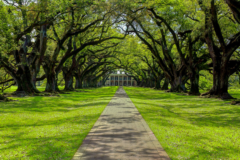 Nowy Orlean: plantacja Oak Alley i rejs po bagnach