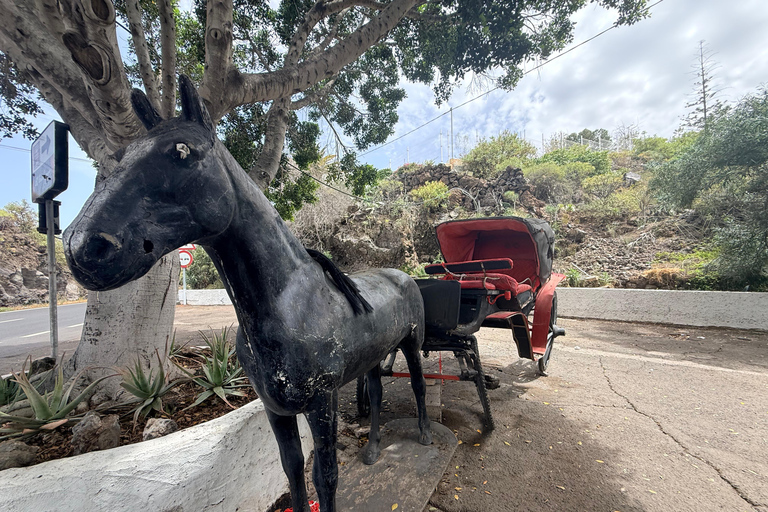 Tenerife: Masca Village, Wine Tasting & Tapas Tour