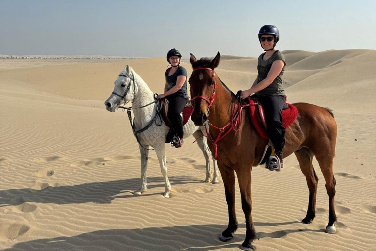 الدوحة: ركوب الخيل العربي في صحراء قطر مع النقل