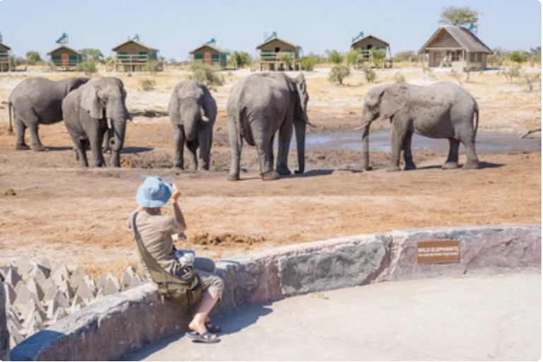 Namibia: explora el cañón más grande de África, las dunas y las salinas.Namibia: explora el cañón más grande de África, las dunas y las salinas