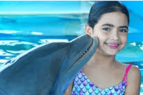 Private Puerto Plata Dolphin Encounter & Ocean World Escape
