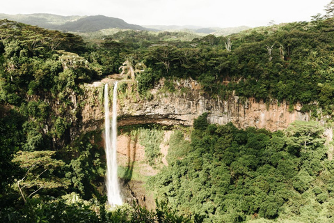 From San José: Sarapiquí Zipline, Horse Ride & Lunch