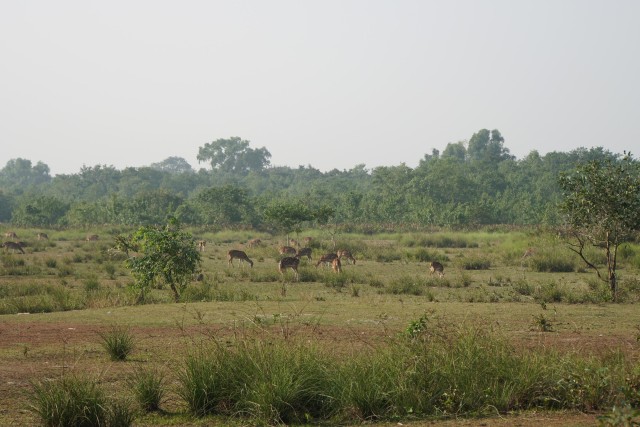Visit Bangladesh: Wildlife Tour in Sylhet, Bangladesh