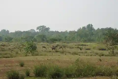 Bangladesh: Wildlife Tour