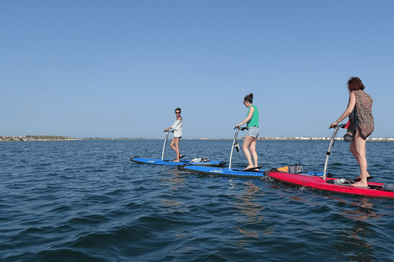 Gruissan: noleggio di aquastepper (un mix di paddle e stepper)Gruissan: noleggio di aquastepper (un mix tra paddle e stepper)