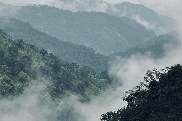 Excursão de dia inteiro a Ella saindo de Mirissa/Ahangama/Hikkaduwa/BentotaExcursão de dia inteiro a Ella a partir de Mirissa/Ahangama/Hikkaduwa/Bentota