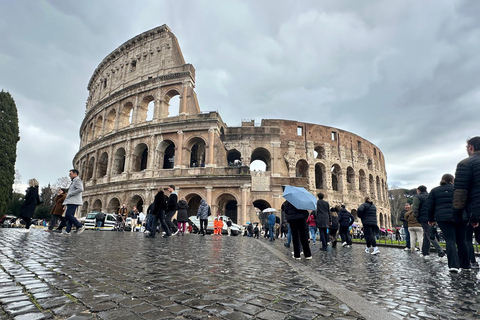 Small Group Guided Tour Colosseum Roman Forum, Palatine Hill Standard Tickets