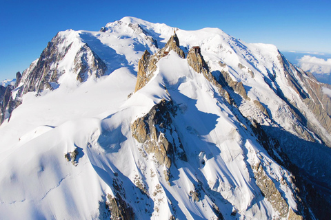 From Geneva: Chamonix Tour with St Bernard Dogs & Train Ride