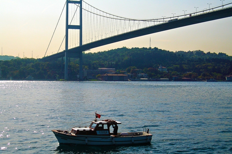 Depuis Istanbul: visite à pied d'une journée à Büyükada