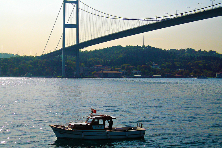 De Istambul: excursão a pé de dia inteiro em Büyükada