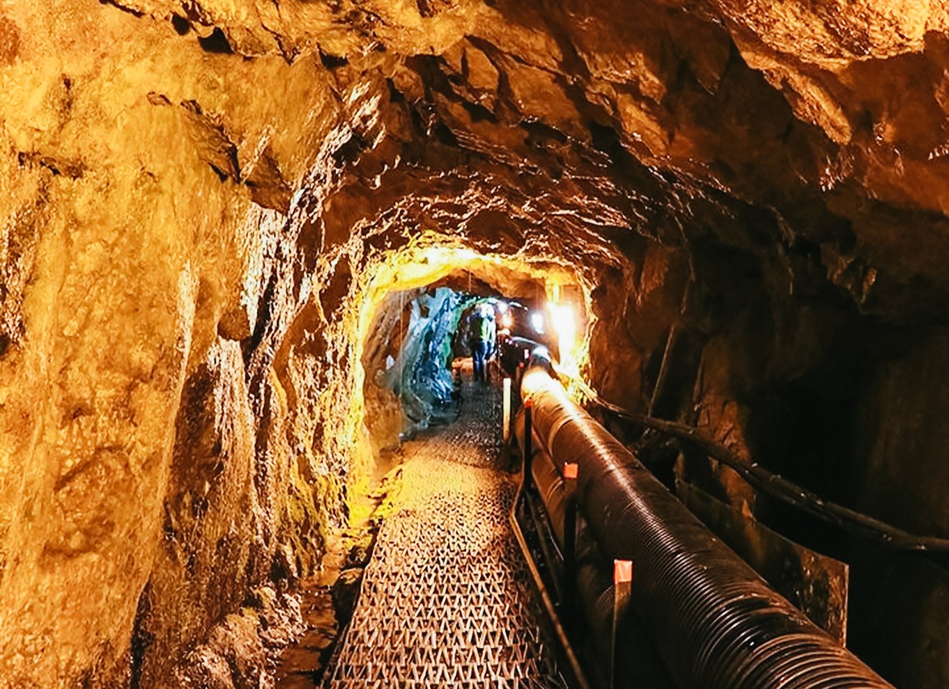 Seoul: DMZ, 3. tunnel og valgfri tur til hængebroen