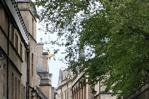 Oxford : Visite privée pour les voyageurs solitaires