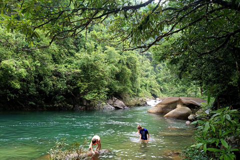 Khao Sok: Privat dagsvandring, djungelmiddag och nattsafari