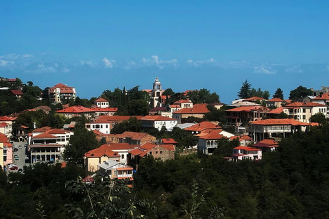 From Tbilisi: Kakheti Wine Tour with Bodbe & Sighnaghi