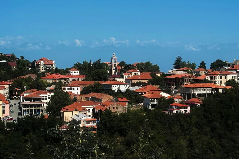 From Tbilisi: Kakheti Wine Tour with Bodbe & Sighnaghi