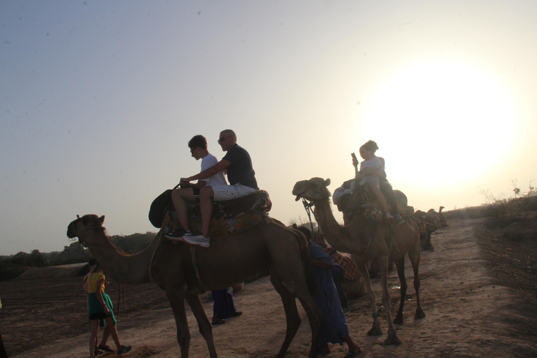 Agadir : balade à dos de chameau ou à cheval au coucher du soleil avec dîner barbecueAgadir : Balade au coucher du soleil à dos de chameau ou à cheval avec dîner barbecue