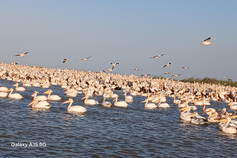 Saint-Louis Tours: Horse-Drawn Carriage Ride, Djoudj Bird Sanctuary, Museum Archipelago Saint-Louis Tours: Horse-Drawn Carriage Ride, Djoudj Park, Museum Archipelago