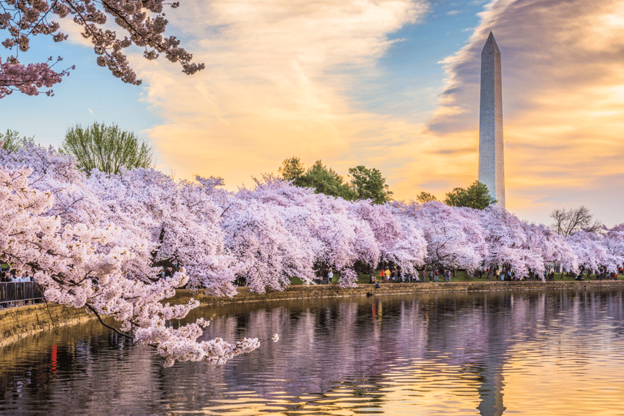 Washington DC Tagestour mit dem Bus von New York City aus. Foto: GetYourGuide