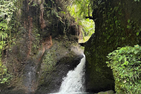 Tetebatu Waterfall Guided Hike with Local Guide