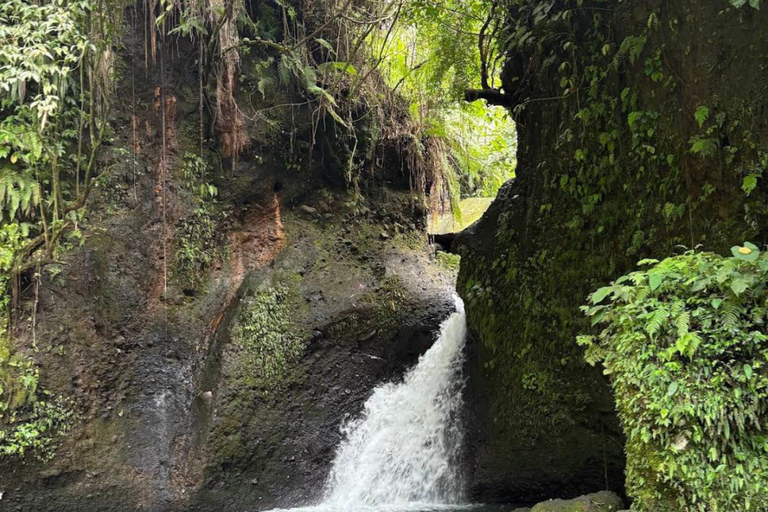 Tetebatu Waterfall Guided Hike with Local Guide