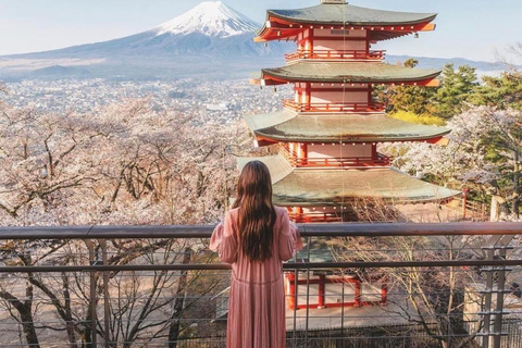 Tokyo: Private Daytrip to Mount Fuji - Fully Customizable Mt Fuji Private Luxury Van Tour (Customizable Experience)