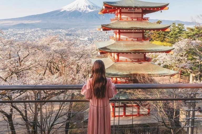 Tokyo: Private Daytrip to Mount Fuji - Fully Customizable Mt Fuji Private Luxury Van Tour (Customizable Experience)