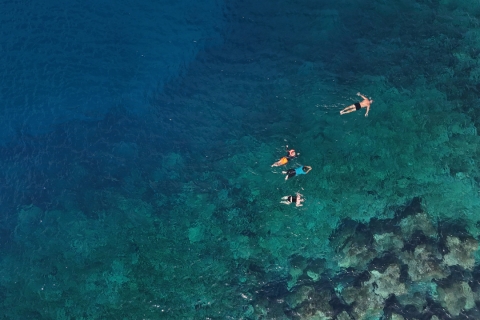 Playa Flamingo: Experiencia guiada de SUP y Snorkel