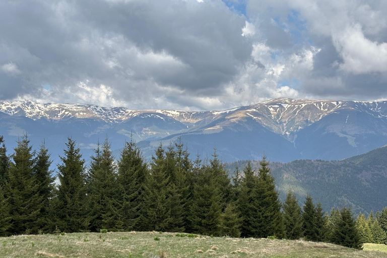 Muscel: The Hidden Trails: Full-Day Horseback Exploration