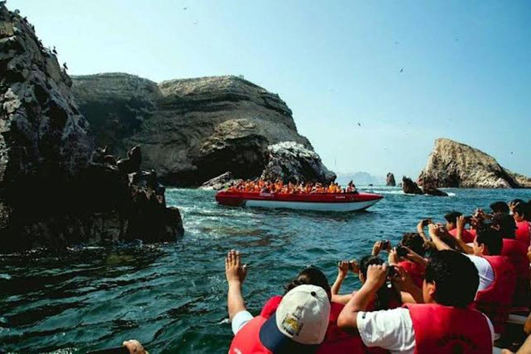 Ica: Ballestas und Paracas-Inseln Tour - geteilter ServiceIca: Tour Ballestas Inseln und Paracas - geteilter Service