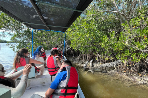 Flamingo tour Rio Lagartos, Yucatan 2 hours