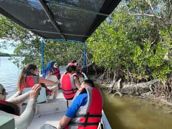 Excursión con flamencos Río Lagartos, Yucatán 2 horas