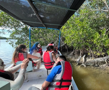 Flamingo tour Rio Lagartos, Yucatan 2 hours
