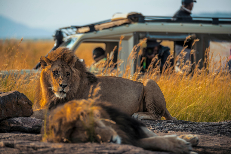 9-Day Kenya Safari with Accommodation & Meals
