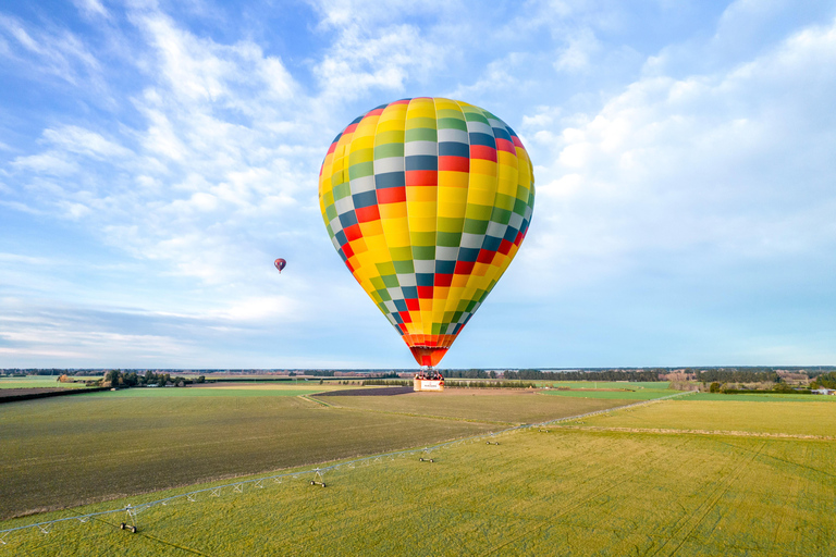 Canterbury Plains: Sunrise Hot Air Balloon Flight
