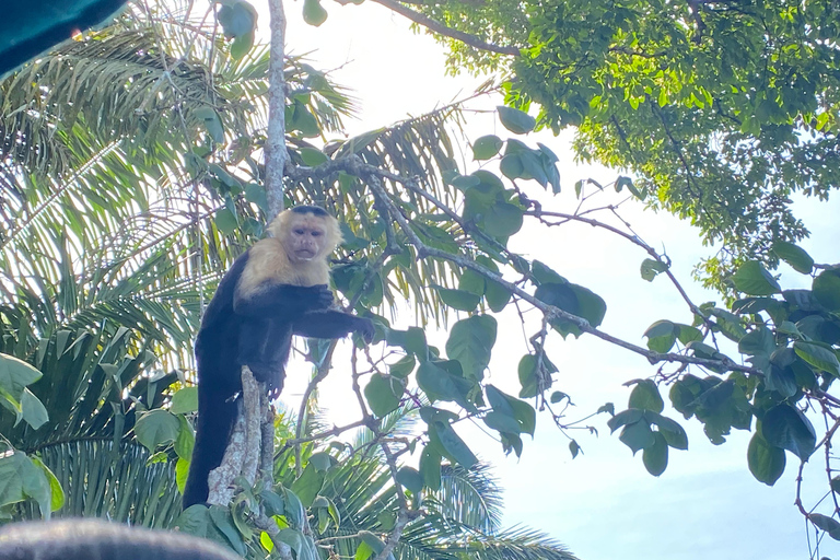 Canale di Panama: tour privato in barca e con la fauna selvatica sul lago Gatun