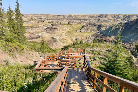 Day of Dinosaurs and Hoodoos From Calgary to Drumheller