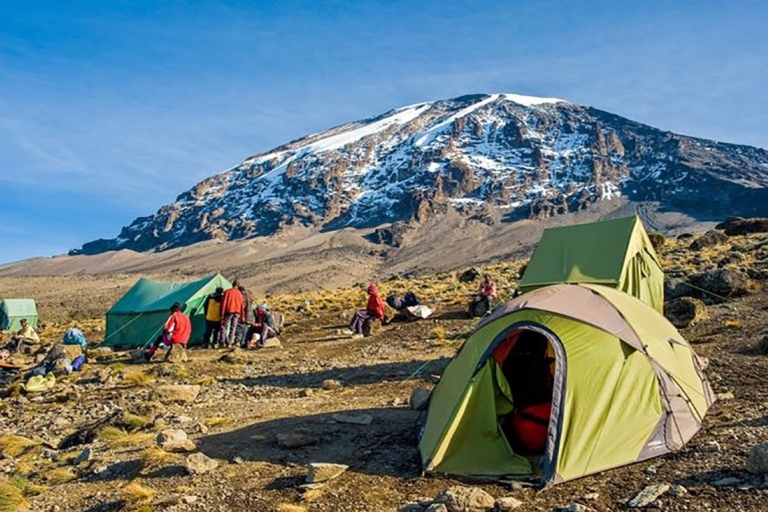 7-daagse beklimming van de Kilimanjaro via de Machame Route