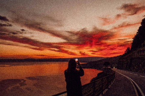 Zurich: Chaplin's World & Lake Geneva Private Day Trip