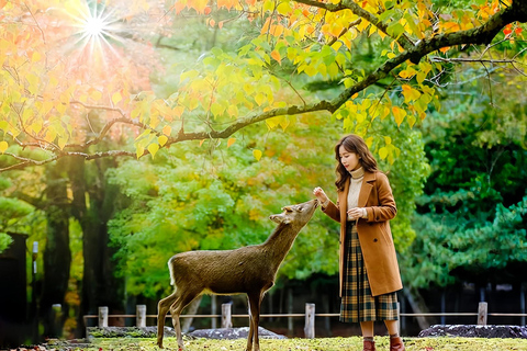 Osaka/Kyoto: Arashiyama, Nara Park & Fushimi Inari Day Tour Kyoto Departure: Private Sightseeing Tours