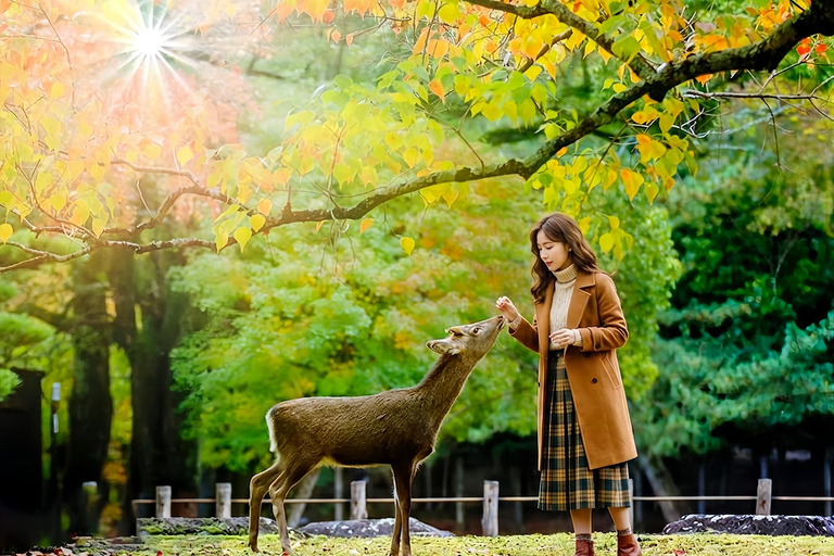 Osaka/Kyoto: Arashiyama, Nara Park & Fushimi Inari Day Tour Kyoto Departure: Private Sightseeing Tours