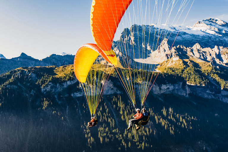 Interlaken: Tandemflygning med skärmflygInterlaken: Paragliding-tandemflygning