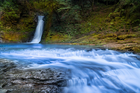 Nagoya: Soni Highlands & Akame 48 Waterfalls Guided Hike