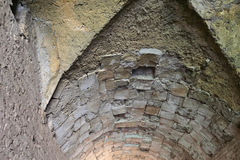 Rome:Ostia Antica Skip-the-line Ticket & Audioguide Skip-the-line Ticket with Audioguide