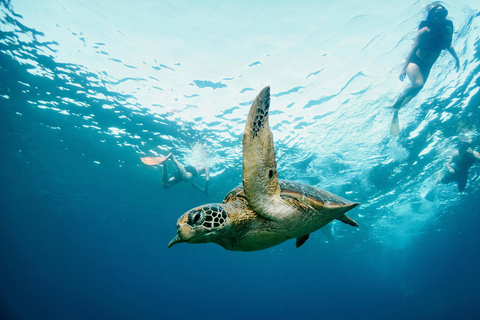 From Bali: Nusa Penida Private Snorkeling Tour with Lunch Shared Boat Trip with Meeting Point at Sanur